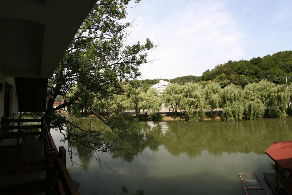 Guest House Lacul Linistit Моняса Номер фото